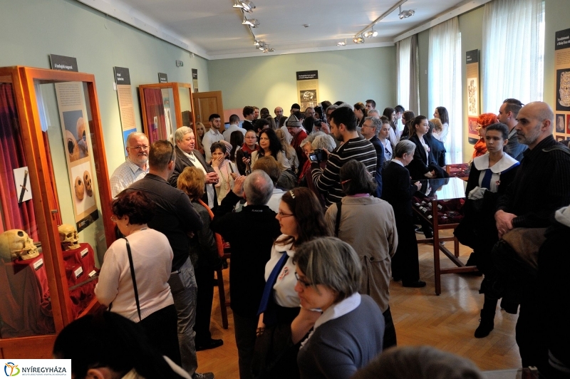 A honfoglaló magyarok emlékanyaga