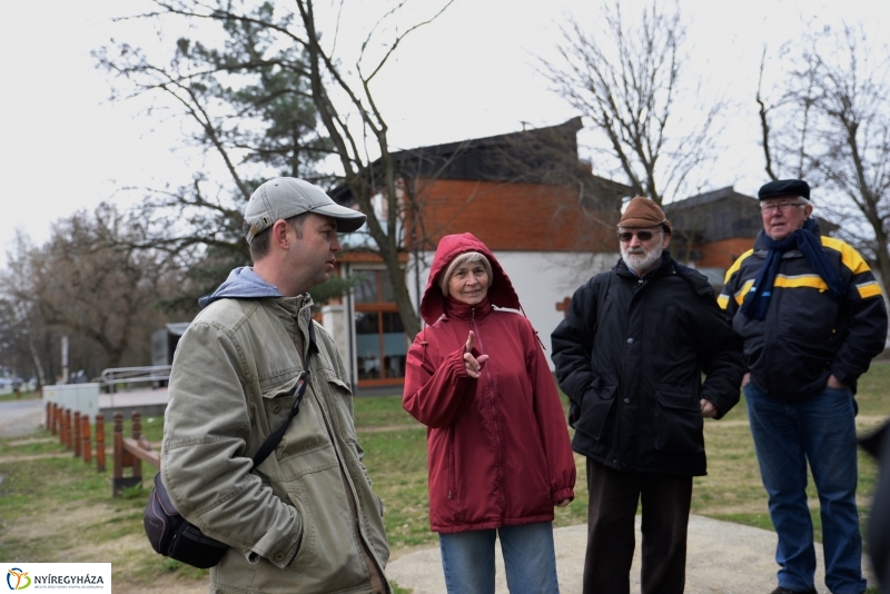 Csillagvirág számlálás a Sóstói erdőben