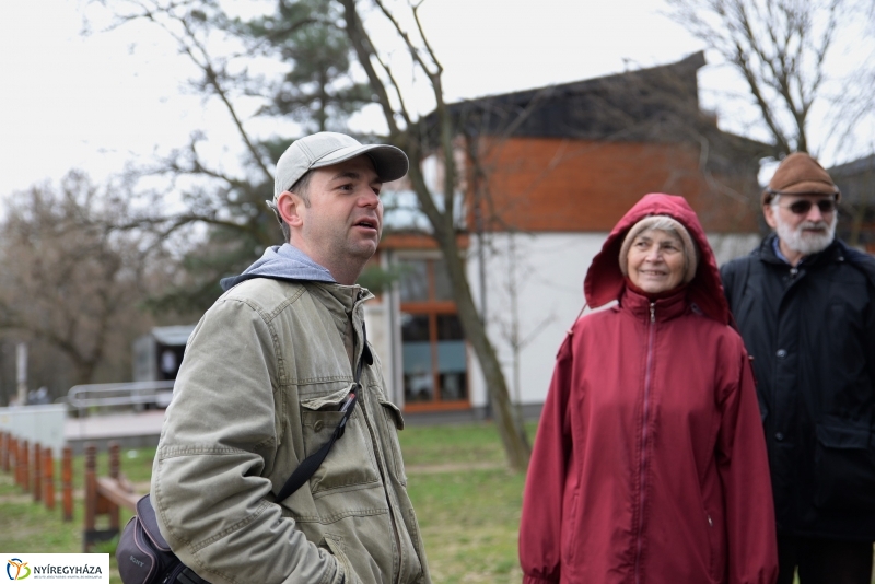 Csillagvirág számlálás a Sóstói erdőben