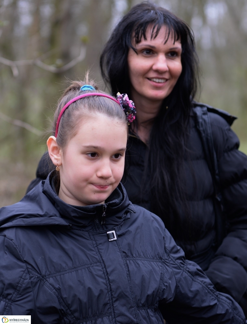 Csillagvirág számlálás a Sóstói erdőben