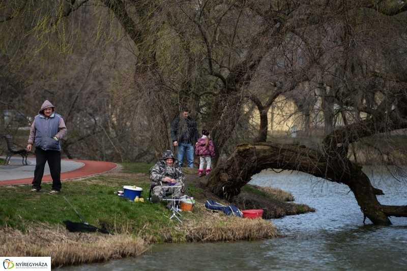 Kora tavasz a Sóstón 1