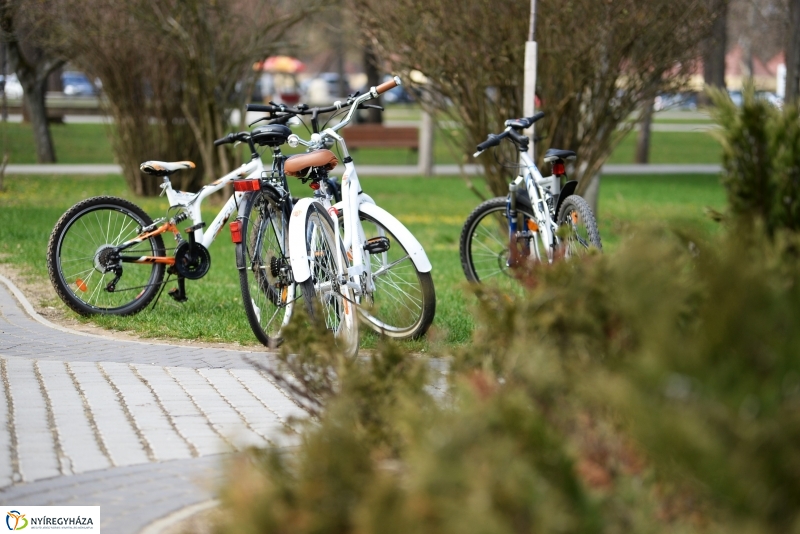 Kora tavasz a Sóstón 1