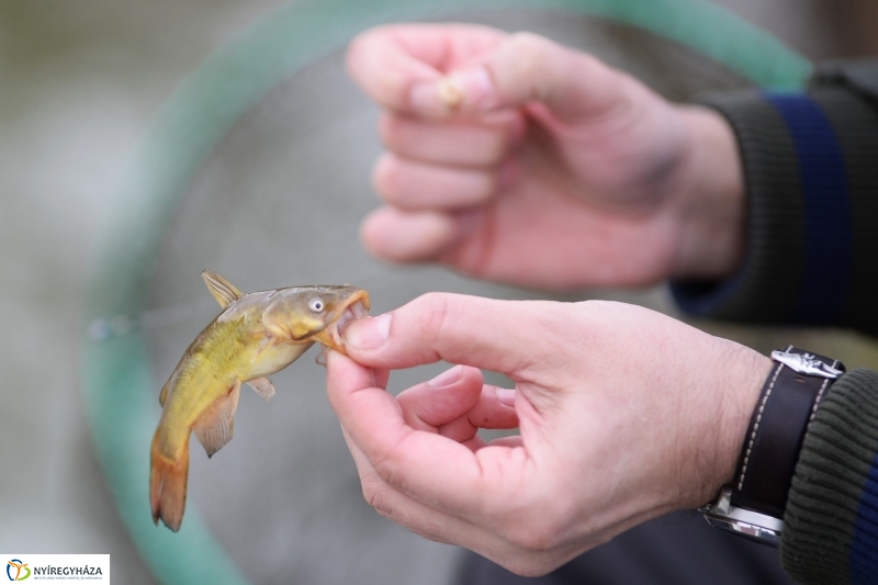 Kora tavasz a Sóstón 1