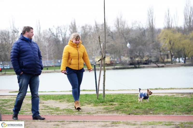 Kora tavasz a Sóstón 2