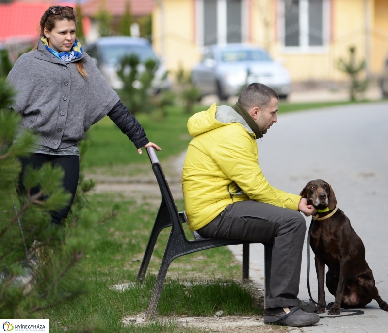 Kora tavasz a Sóstón 2