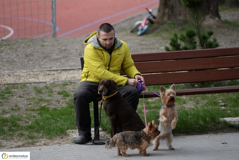 Kora tavasz a Sóstón 2