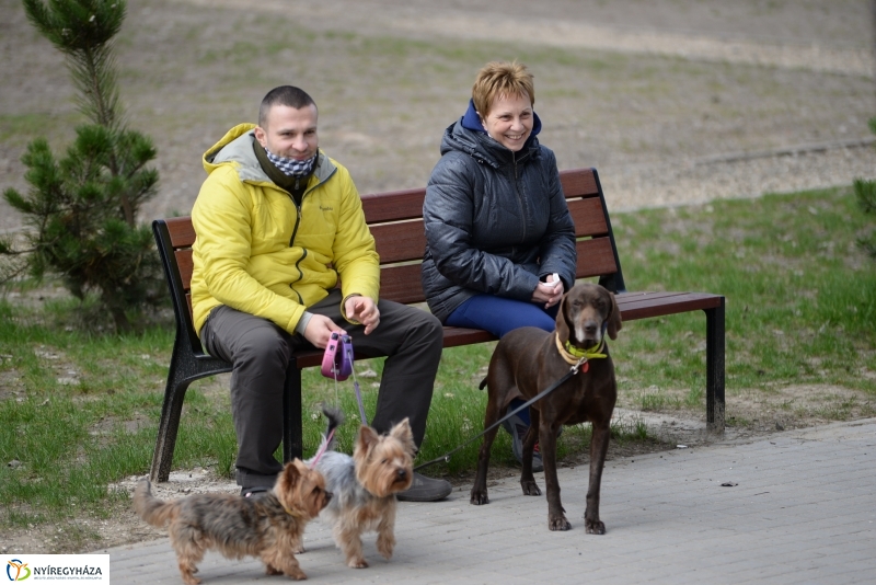 Kora tavasz a Sóstón 2