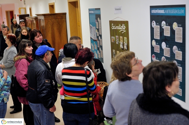 Hagyományőrző programok a múzeumban