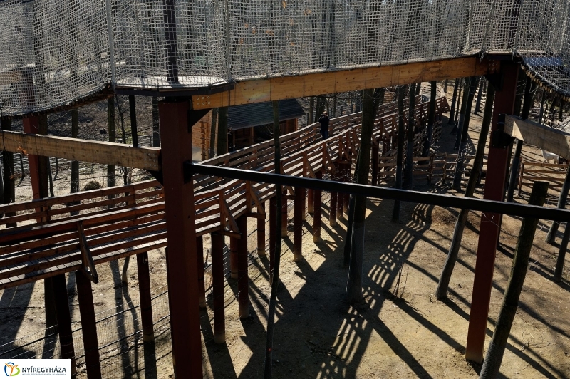 Sajtótájékoztató a Nyíregyházi Állatparkban