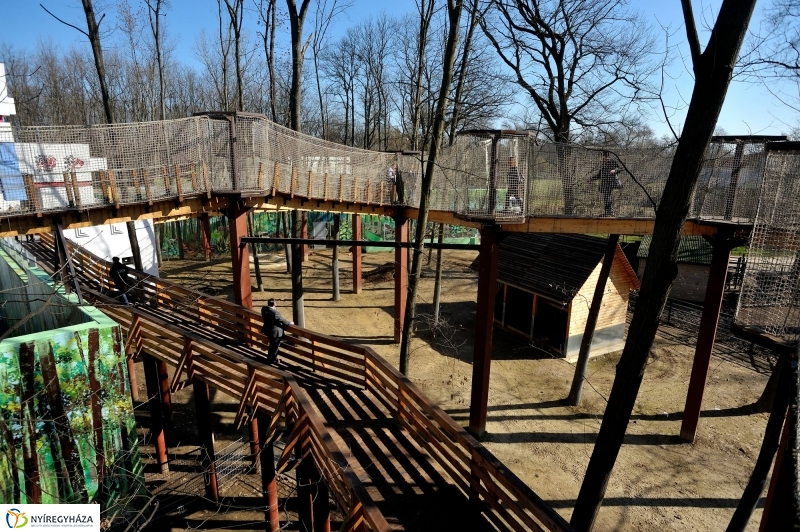 Sajtótájékoztató a Nyíregyházi Állatparkban