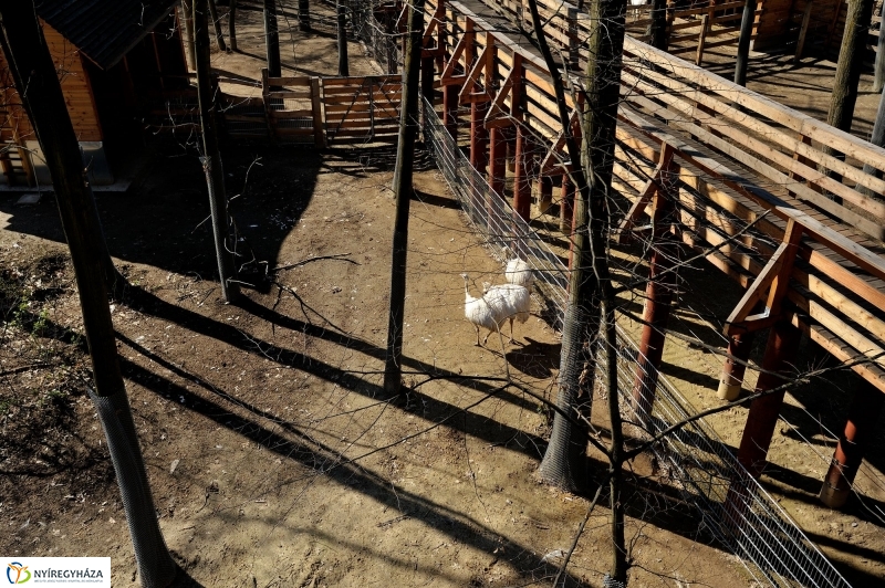 Sajtótájékoztató a Nyíregyházi Állatparkban