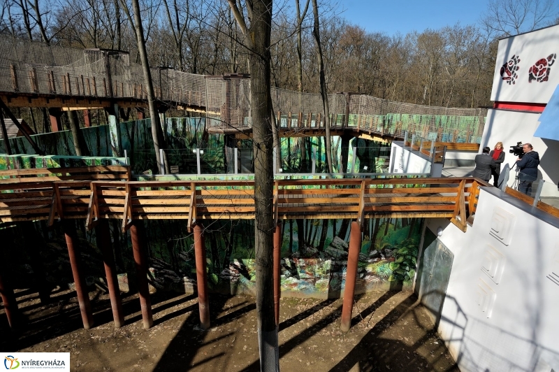Sajtótájékoztató a Nyíregyházi Állatparkban