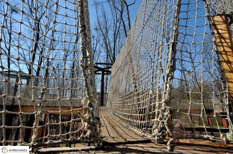 Sajtótájékoztató a Nyíregyházi Állatparkban