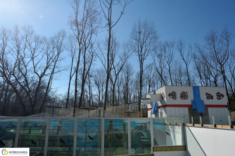 Sajtótájékoztató a Nyíregyházi Állatparkban