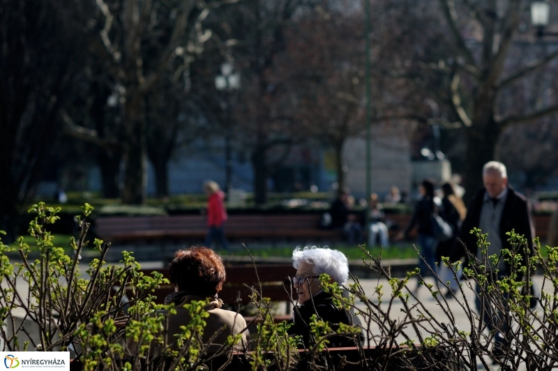 Tavasz a belvárosban
