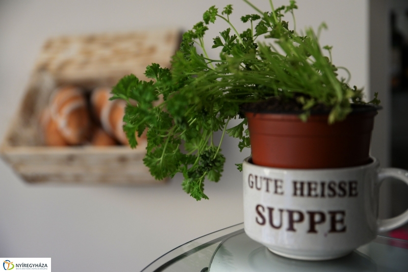 Hétfőn Pék Bisztró nyílik a belvárosban