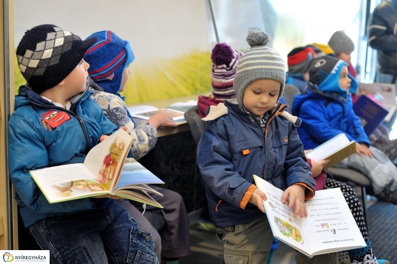 Guruló Könyvtár Mandabokorban