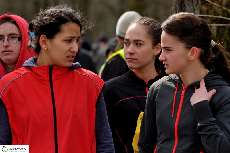 Böjti Futás a Sóstón