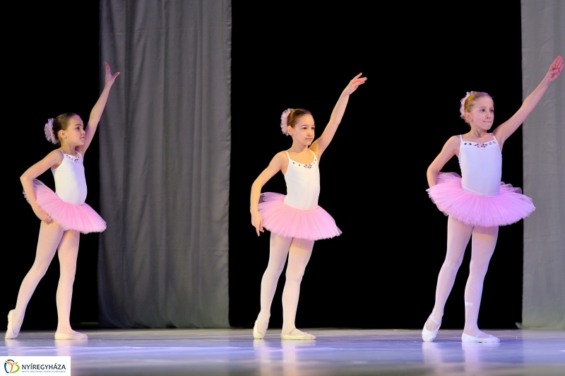 Jubileumi koncert a Primaverától