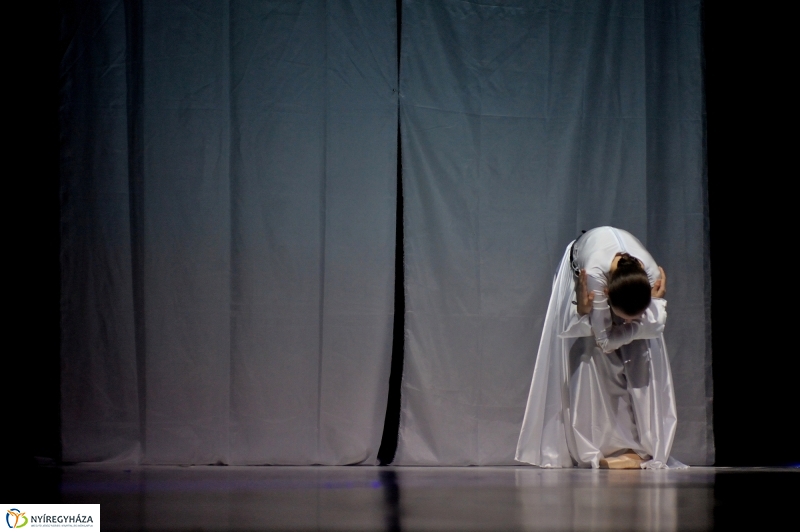 Jubileumi koncert a Primaverától