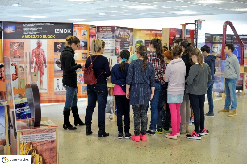 Testünk a csoda kiállítás