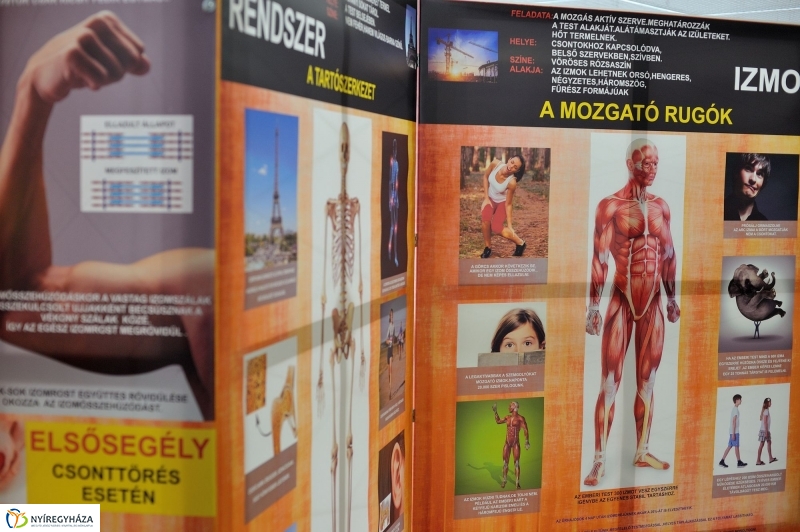 Testünk a csoda kiállítás