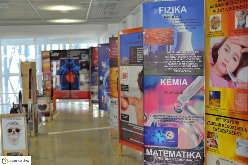 Testünk a csoda kiállítás