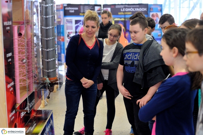 Testünk a csoda kiállítás