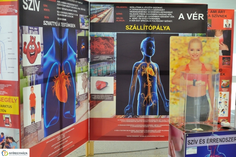 Testünk a csoda kiállítás