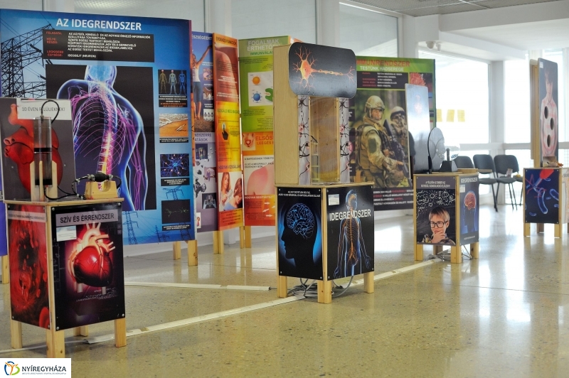 Testünk a csoda kiállítás