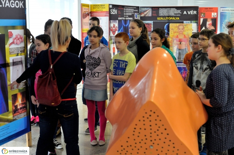 Testünk a csoda kiállítás