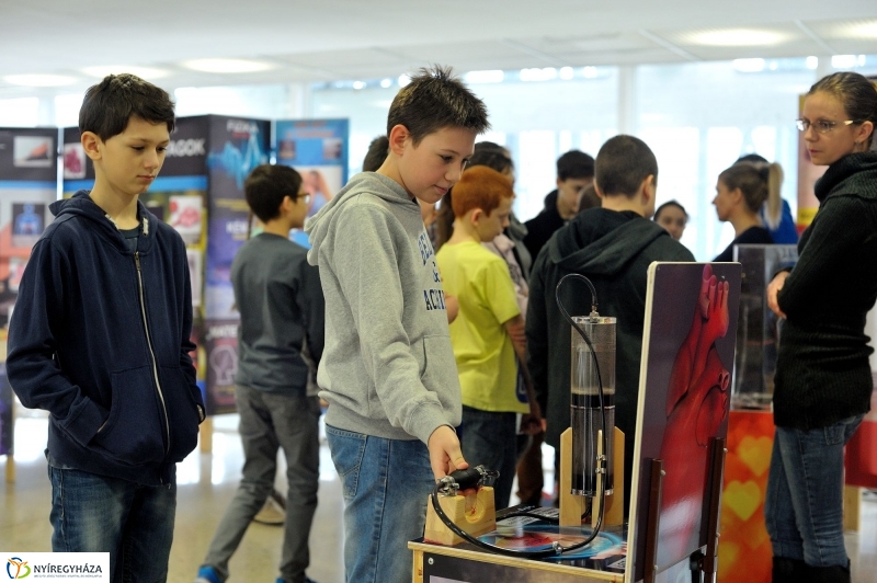 Testünk a csoda kiállítás