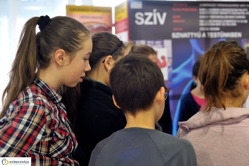 Testünk a csoda kiállítás