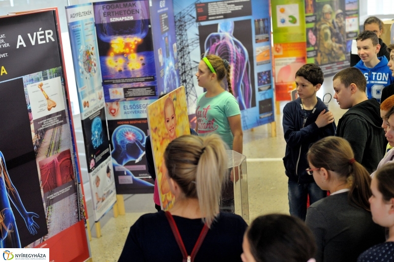 Testünk a csoda kiállítás