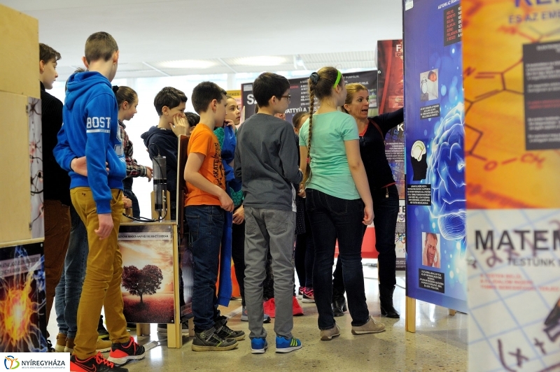 Testünk a csoda kiállítás