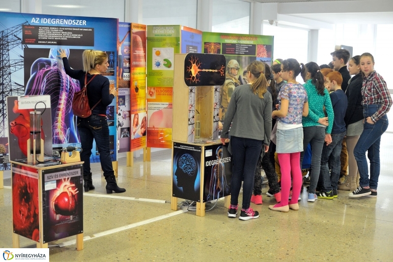 Testünk a csoda kiállítás