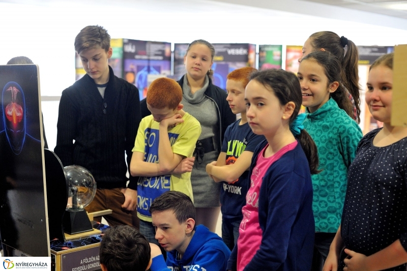 Testünk a csoda kiállítás