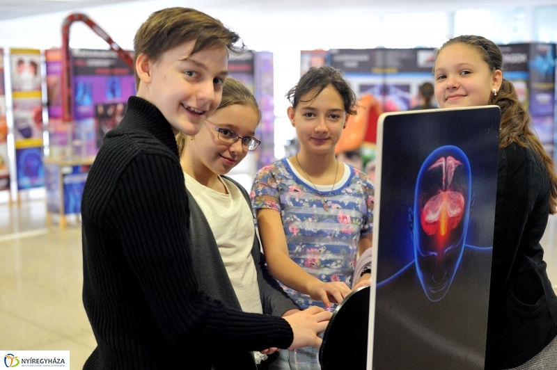 Testünk a csoda kiállítás