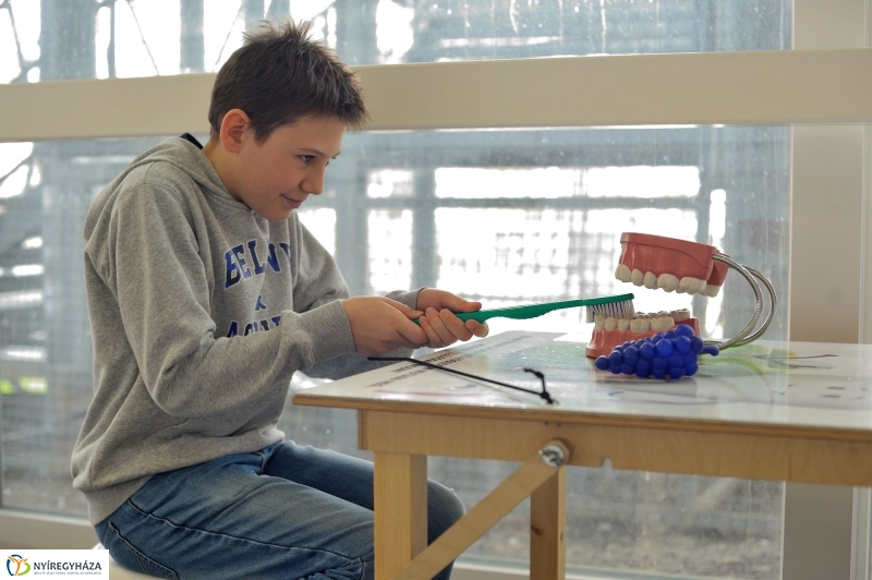 Testünk a csoda kiállítás