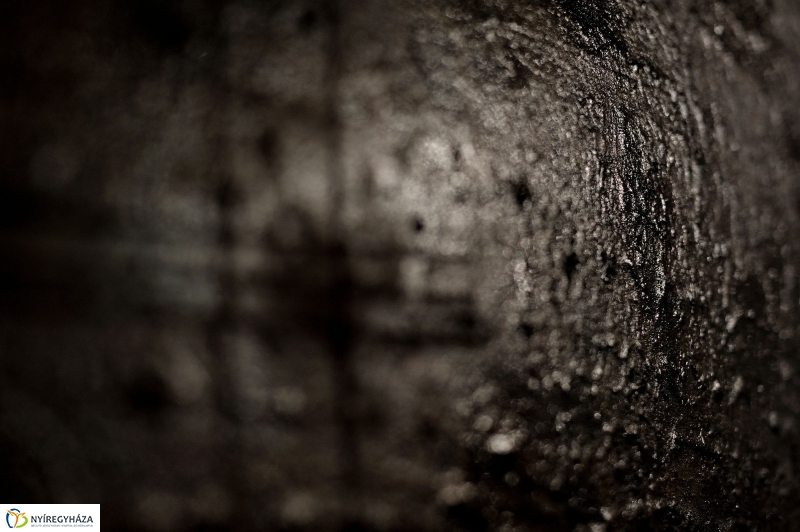 Lukács Gábor festőművész kiállítása