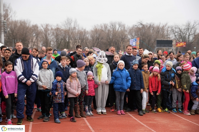 Nyuszifutás a Városi Stadionban