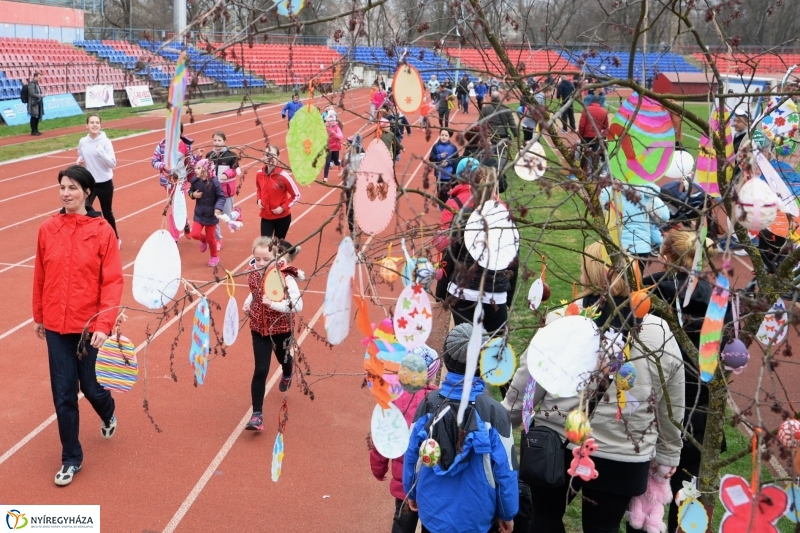 Nyuszifutás a Városi Stadionban