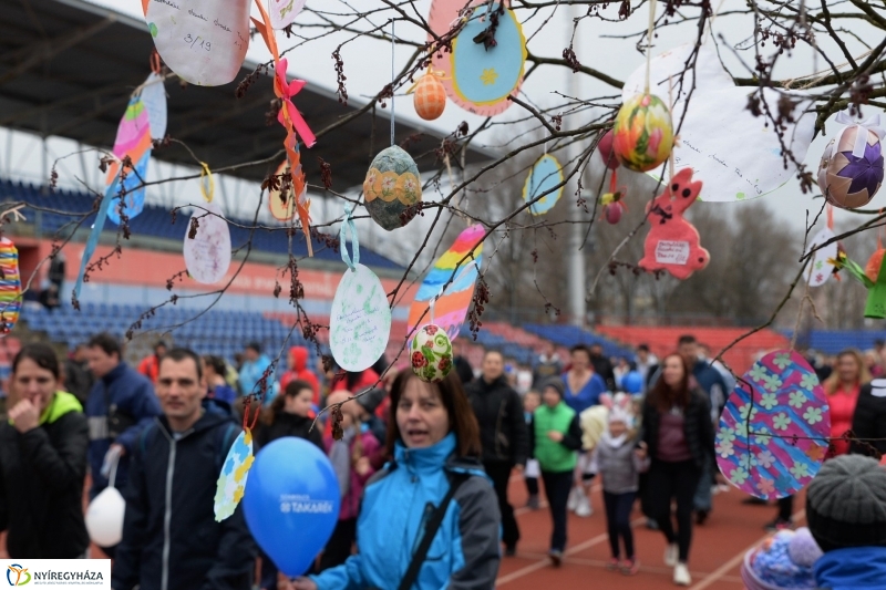 Nyuszifutás a Városi Stadionban