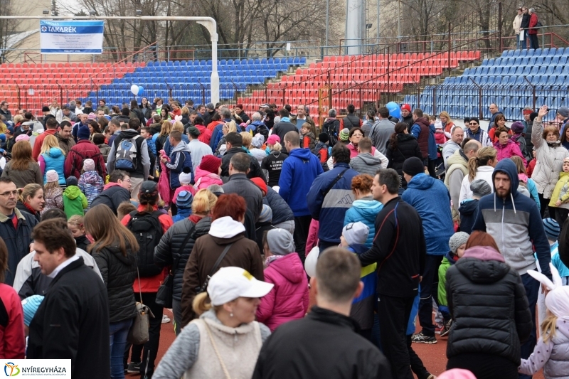 Nyuszifutás a Városi Stadionban