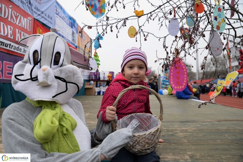 Nyuszifutás a Városi Stadionban
