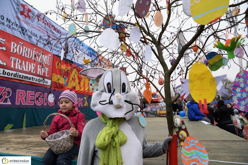 Nyuszifutás a Városi Stadionban