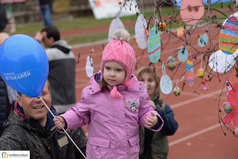 Nyuszifutás a Városi Stadionban