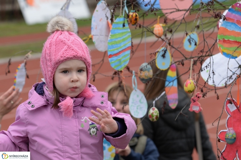 Nyuszifutás a Városi Stadionban