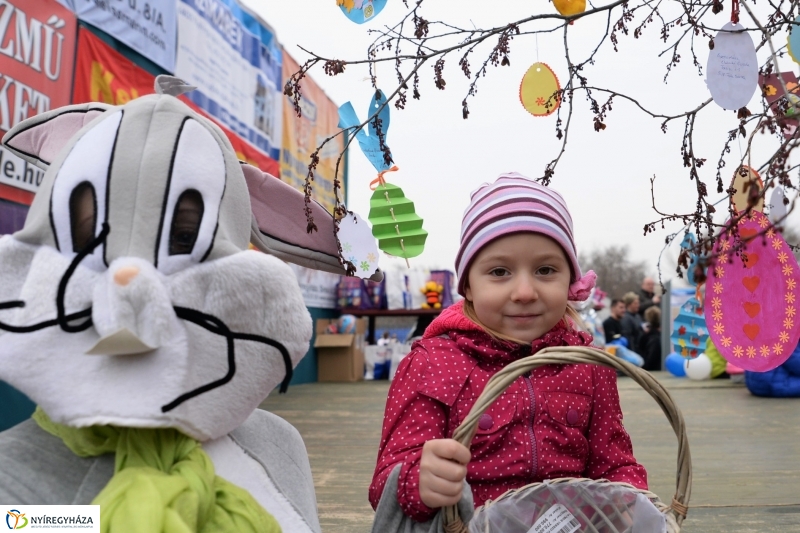 Nyuszifutás a Városi Stadionban
