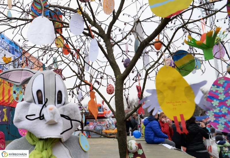 Nyuszifutás a Városi Stadionban